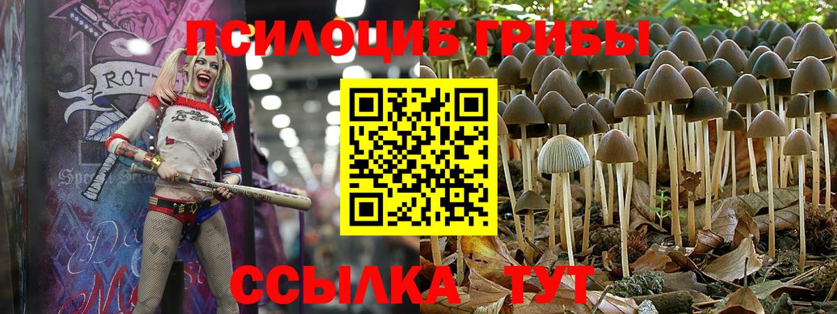Пугачёв  Галлюциногенные грибы MAGIC MUSHROOMS  Галлюциногенные грибы Magic Shrooms  Вход с VPN 